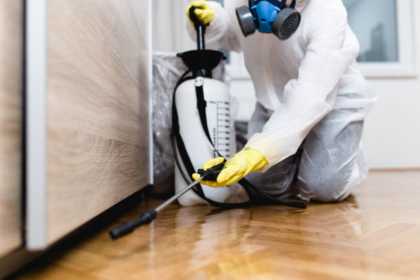 Best Rat Extermination Near Me  in Rock Creek, AL