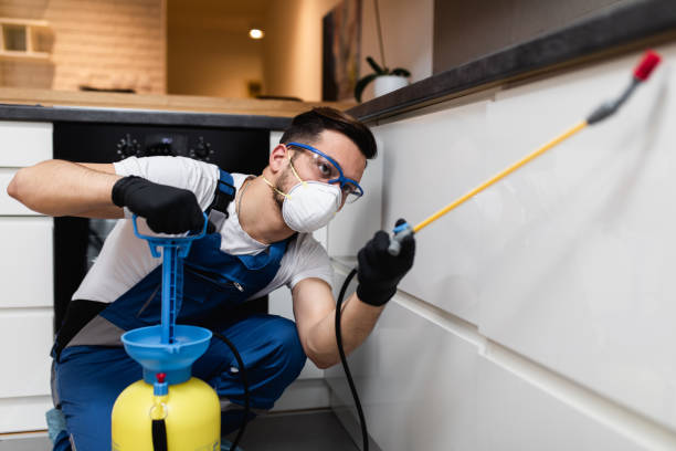 Pest Prevention Services in Rock Creek, AL