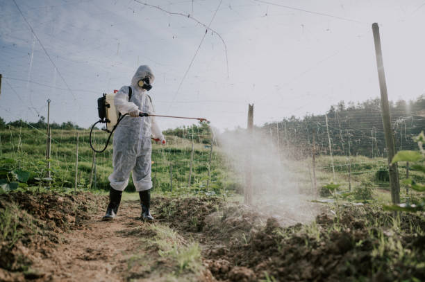 Best Commercial Pest Control Services  in Rock Creek, AL