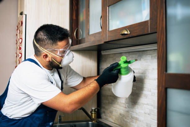  Rock Creek, AL Pest Control Pros