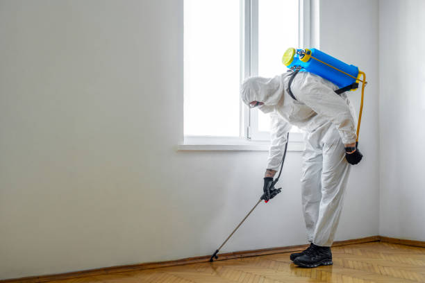 Best Best Pest Control Companies  in Rock Creek, AL