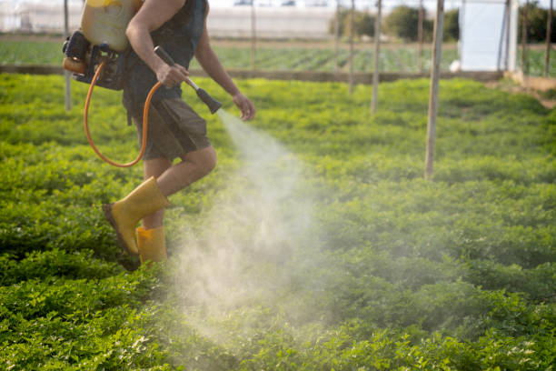 Professional Pest Control in Rock Creek, AL