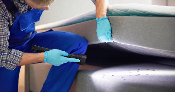 Best Termite Control Services  in Rock Creek, AL