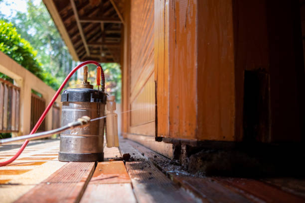 Best Cockroach Control Services  in Rock Creek, AL