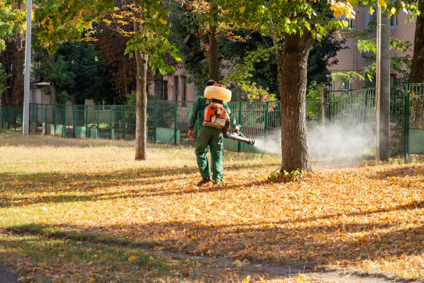 Best Spider Control Near Me  in Rock Creek, AL