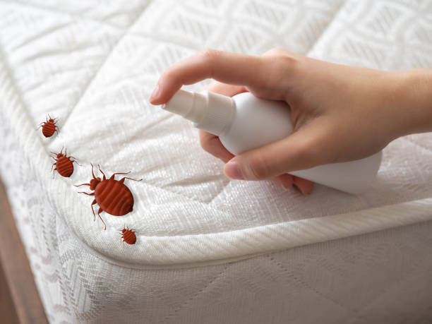 Best Flea Control Services  in Rock Creek, AL